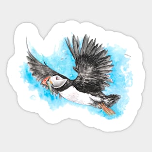 Atlantic Puffin in Flight Sticker